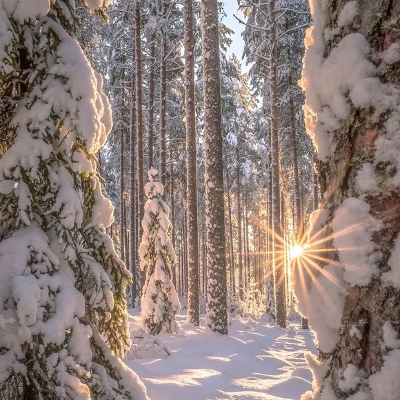 One mystery pick - Picture 10 of 14